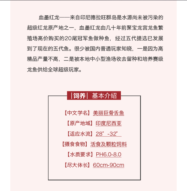 血墨红龙0_03.gif